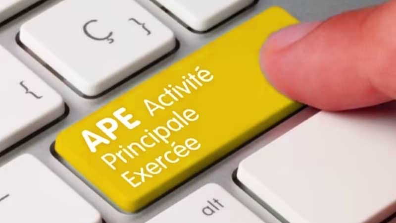 APE : Activité Principale Exercée