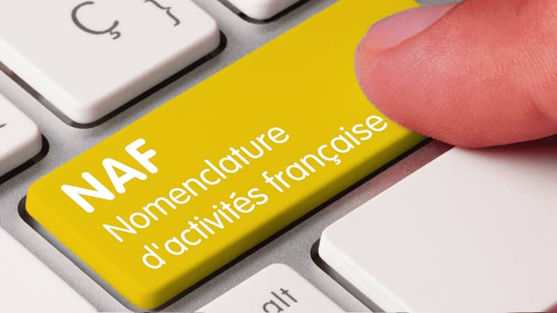 NAF : Nomenclature d'Activités Française